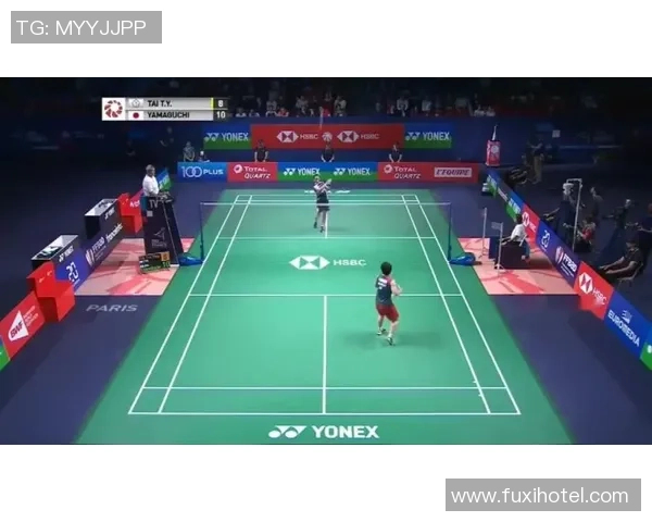 独家解析上海羽毛球队战术配合与个人技术的深度对比分析