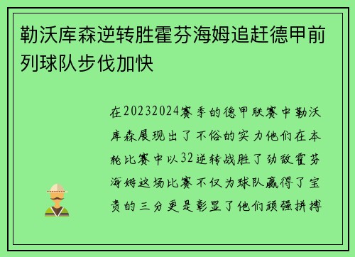 勒沃库森逆转胜霍芬海姆追赶德甲前列球队步伐加快